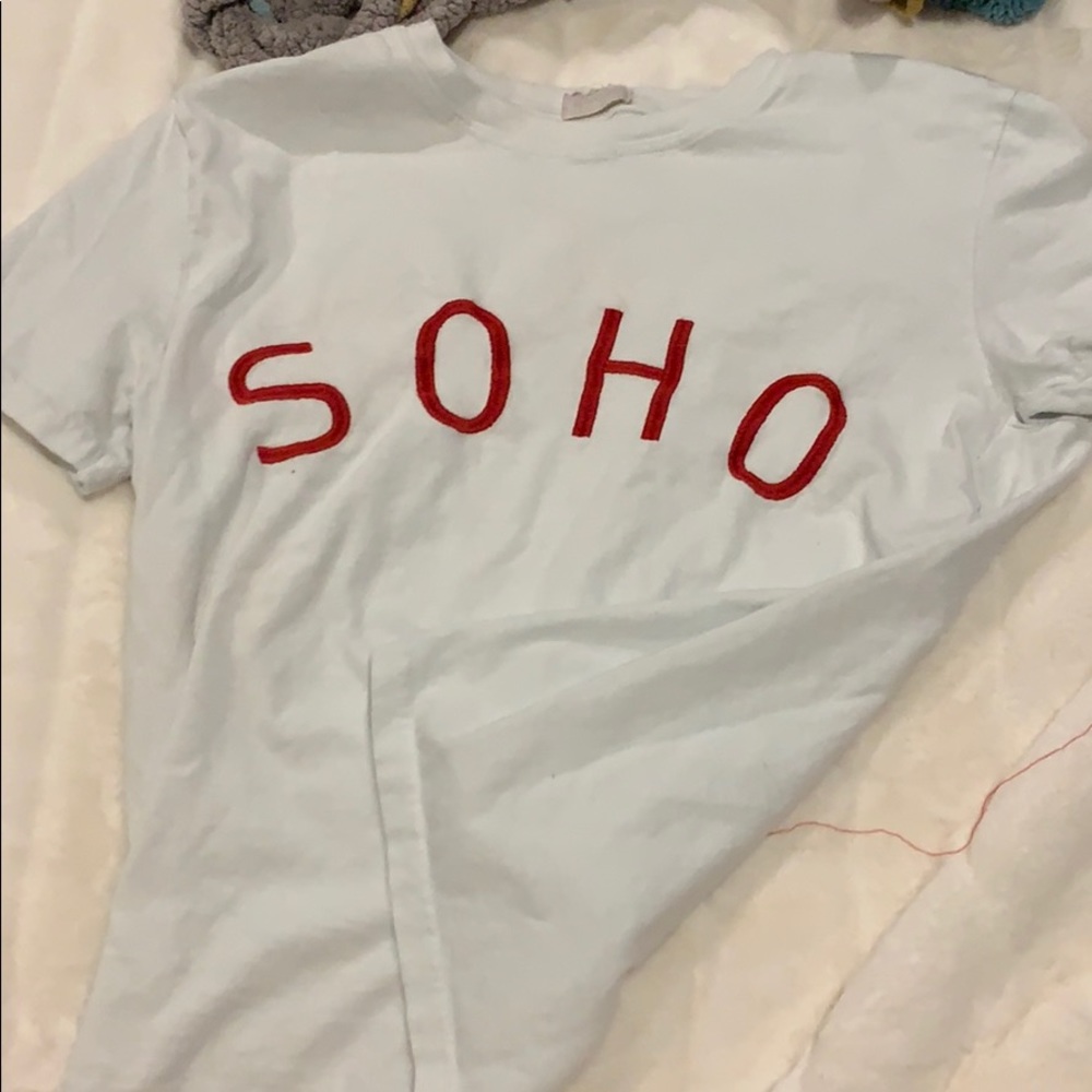 Brandy Melville soho crop top teeshirt